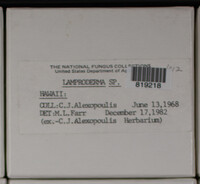Image Associated With the Occurence